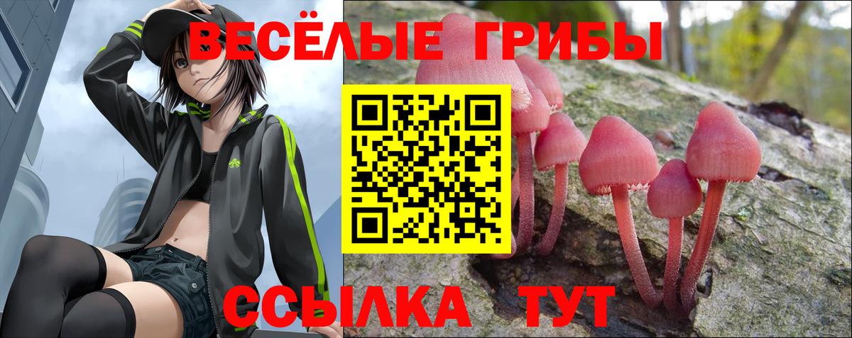 Псилоцибиновые грибы мицелий Белая Калитва