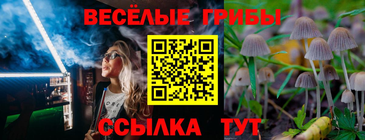 Псилоцибиновые грибы прущие грибы  Вход с VPN  Белая Калитва 